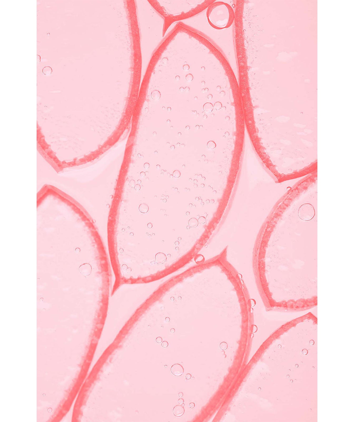 EMULSIÓN REGULADORA Nº0